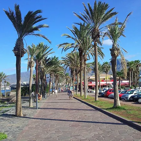 Casa Teide By Interhome * Playa de las Americas (Tenerife)